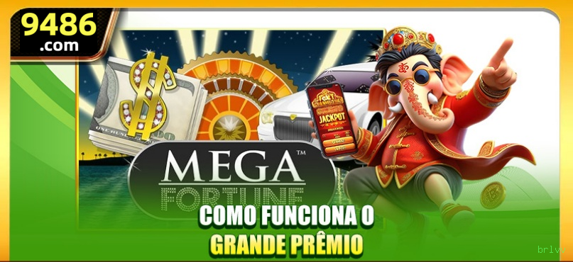 brlvv Plataforma